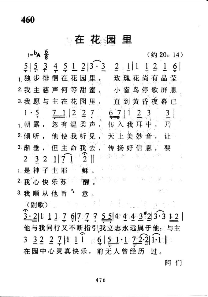 460在花园里